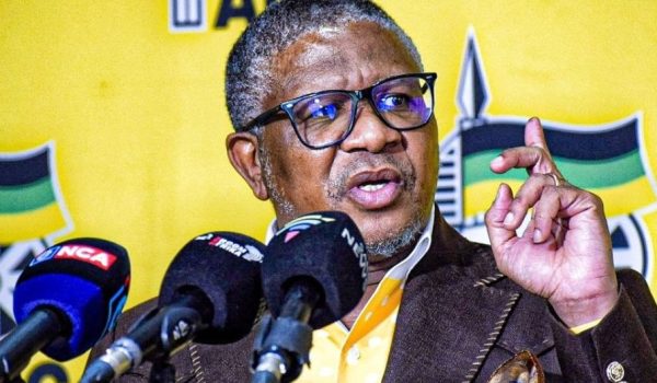 ANC SAYS ANTI-ILLEGAL IMMIGRATION PROTESTS ARE NOT XENOPHOBIC
